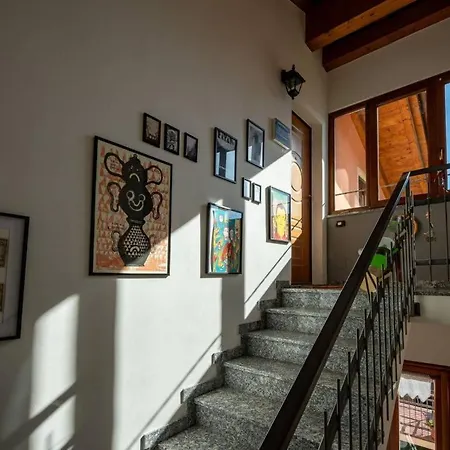 Art Music House Dongo